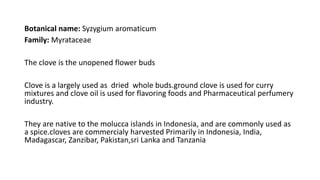 Post harvest handling of clove | PPT