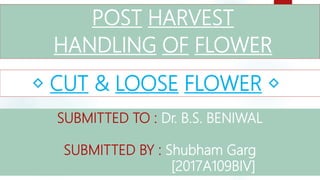 POST HARVEST
HANDLING OF FLOWER
SUBMITTED TO : Dr. B.S. BENIWAL
SUBMITTED BY : Shubham Garg
[2017A109BIV]
◇ CUT & LOOSE FLOWER ◇
 