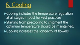 Cooling Process Roses Storage Post harvesting handling of flowers | PPTX