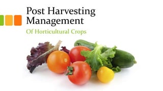 Post Harvesting
Management
Of Horticultural Crops
 