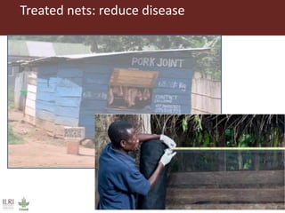 Postharvest handling and technologies for livestock products