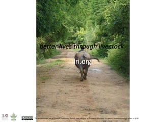 Postharvest handling and technologies for livestock products