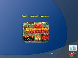 Post Harvest Losses
NEXT
 