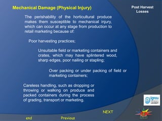 Post Harvest
Losses
Mechanical Damage (Physical Injury)
The perishability of the horticultural produce
makes them susceptible to mechanical injury,
which can occur at any stage from production to
retail marketing because of:
NEXT
Previous
end
Poor harvesting practices;
Unsuitable field or marketing containers and
crates, which may have splintered wood,
sharp edges, poor nailing or stapling;
Over packing or under packing of field or
marketing containers;
Careless handling, such as dropping or
throwing or walking on produce and
packed containers during the process
of grading, transport or marketing.
 