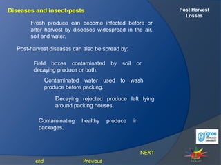 Post Harvest
Losses
Diseases and insect-pests
Fresh produce can become infected before or
after harvest by diseases widespread in the air,
soil and water.
NEXT
Previous
end
Post-harvest diseases can also be spread by:
Field boxes contaminated by soil or
decaying produce or both.
Contaminated water used to wash
produce before packing.
Decaying rejected produce left lying
around packing houses.
Contaminating healthy produce in
packages.
 