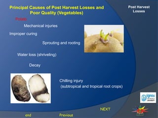 Post Harvest
Losses
Principal Causes of Post Harvest Losses and
Poor Quality (Vegetables)
Potato
NEXT
Previous
end
Mechanical injuries
Improper curing
Sprouting and rooting
Water loss (shriveling)
Decay
Chilling injury
(subtropical and tropical root crops)
 