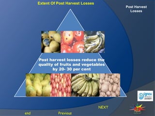 Post Harvest
Losses
NEXT
Previous
end
Post harvest losses reduce the
quality of fruits and vegetables
by 20- 30 per cent
Extent Of Post Harvest Losses
 