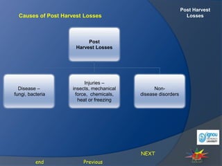 Post Harvest
Losses
Causes of Post Harvest Losses
NEXT
Previous
end
Post
Harvest Losses
Disease –
fungi, bacteria
Injuries –
insects, mechanical
force, chemicals,
heat or freezing
Non-
disease disorders
 