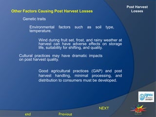 Post Harvest
Losses
Other Factors Causing Post Harvest Losses
Environmental factors such as soil type,
temperature.
Genetic traits
NEXT
Previous
end
Wind during fruit set, frost, and rainy weather at
harvest can have adverse effects on storage
life, suitability for shifting, and quality.
Cultural practices may have dramatic impacts
on post harvest quality.
Good agricultural practices (GAP) and post
harvest handling, minimal processing, and
distribution to consumers must be developed.
 