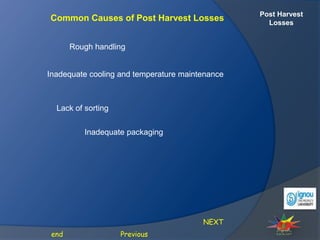 Post Harvest
Losses
Common Causes of Post Harvest Losses
Inadequate cooling and temperature maintenance
Rough handling
NEXT
Previous
end
Lack of sorting
Inadequate packaging
 