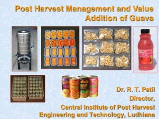 Dr. R. T. Patil
Director,
Central Institute of Post Harvest
Engineering and Technology, Ludhiana
Post Harvest Management and Value
Addition of Guava
 