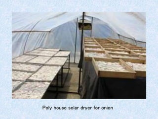Post harvest management and value addition of onion | PPT