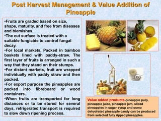 Post harvest management and value addition with special reference to ...