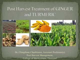 Dr. Chingtham Chanbisana, Assistant Professor(c)
Post Harvest Management,
College of Horticulture, Thenzawl
 