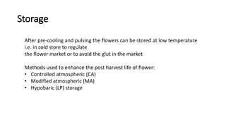 Cooling Process Roses Storage Post harvest Management of commercial flowers.pptx