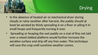 Drying
• In the absence of heated-air or mechanical dryer during
cloudy or rainy weather after harvest, the paddy should at
least be aerated by thinly spreading it on a floor or piling it in
small heaps and frequently turning it over.
• Spreading or heaping the wet paddy on a mat of fine net laid
over a raised slatted platform would further increase the
aeration surface and drip off any free water. This technique
will save the crop until sunshine weather comes.
 