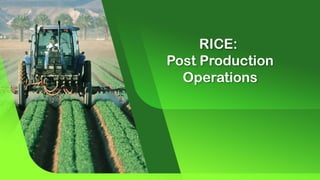 RICE:
Post Production
Operations
 
