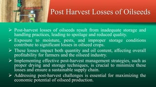 Post Harvest Losses of Oilseeds
 Post-harvest losses of oilseeds result from inadequate storage and
handling practices, leading to spoilage and reduced quality.
 Exposure to moisture, pests, and improper storage conditions
contribute to significant losses in oilseed crops.
 These losses impact both quantity and oil content, affecting overall
profitability for farmers and the oilseed industry.
 Implementing effective post-harvest management strategies, such as
proper drying and storage techniques, is crucial to minimize these
losses and ensure a sustainable supply chain.
 Addressing post-harvest challenges is essential for maximizing the
economic potential of oilseed production.
 