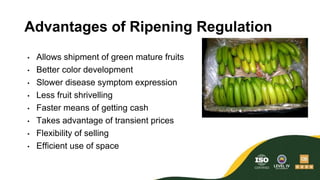 Star Ripe Produce Transit Ripening System Postharvest Practices | PPTX