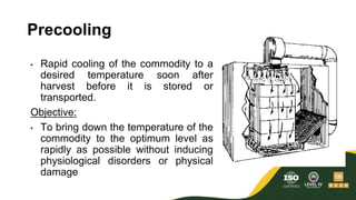 Pre Cooling Postharvest Practices | PPTX