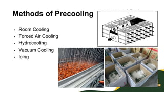 Pre Cooling Postharvest Practices | PPTX