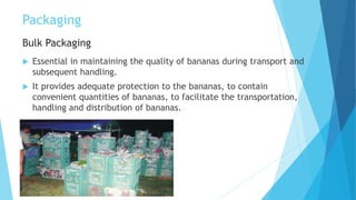 Packaging
Bulk Packaging
 Essential in maintaining the quality of bananas during transport and
subsequent handling.
 It provides adequate protection to the bananas, to contain
convenient quantities of bananas, to facilitate the transportation,
handling and distribution of bananas.
 