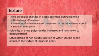 Texture
• There are major changes in pectic polymers during ripening
• Neutral sugars (Galactose)
• Some loss of arabinose – major components of the cell wall neutral pectin
• Losses of acidic pectin
• Solubility of these polyuronides increases and hav shown to
depolymerized
• Solubilization of non-soluble pection to water-soluble pectin
influence the texture of Japanese pears.
 