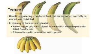 Texture
• Genetic engineering – produced fruit that do not soften normally but
market was restricted
• In ripening of bananas and plantains
• Ratio of mass of pulp – mass of peel increases which makes the peel easily
detach from the pulp
• This could be used to measure the fruit’s ripeness
 