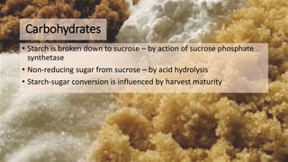 Carbohydrates
• Starch is broken down to sucrose – by action of sucrose phosphate
synthetase
• Non-reducing sugar from sucrose – by acid hydrolysis
• Starch-sugar conversion is influenced by harvest maturity
 