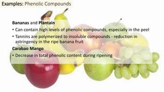 Bananas and Plantain
• Can contain high levels of phenolic compounds, especially in the peel
• Tannins are polymerized to insoluble compounds - reduction in
astringency in the ripe banana fruit
Carabao Mango
• Decrease in total phenolic content during ripening
Examples: Phenolic Compounds
 