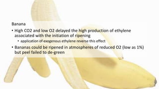 Banana
• High CO2 and low O2 delayed the high production of ethylene
associated with the initiation of ripening
• application of exogenous ethylene reverse this effect
• Bananas could be ripened in atmospheres of reduced O2 (low as 1%)
but peel failed to de-green
 