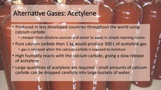 Alternative Gases: Acetylene
• Produced in less developed countries throughout the world using
calcium carbide
• cheaper than ethylene sources and easier to apply in simple ripening rooms
• Pure calcium carbide then 1 kg would produce 300 L of acetylene gas
• gas is released when the calcium carbide is exposed to moisture
• High humidity reacts with the calcium carbide, giving a slow release
of acetylene
• Large quantities of acetylene are required - small amounts of calcium
carbide can be dropped carefully into large buckets of water.
 