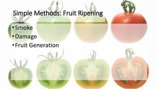 Simple Methods: Fruit Ripening
•Smoke
•Damage
•Fruit Generation
 