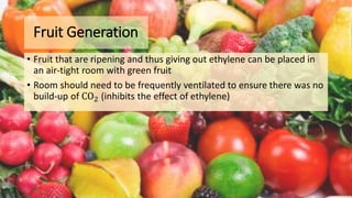 Fruit Generation
• Fruit that are ripening and thus giving out ethylene can be placed in
an air-tight room with green fruit
• Room should need to be frequently ventilated to ensure there was no
build-up of CO2 (inhibits the effect of ethylene)
 