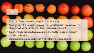Color
• External Color – most change in fruit ripening
• Change in color in fruit ripening is associated with breakdown of
chlorophyll with carotenoid levels remains constant
• Color changes is used as a rough guide to the stage of ripeness
• Used in Bananas
• Used commercially in the form of color-matching charts
 