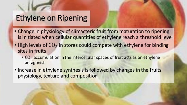 Artificial Ripening Of Fruits By Ethylene