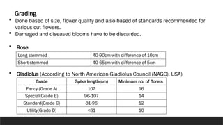 POST- HARVEST TECHNOLOGY OF CUT FLowers | PPTX