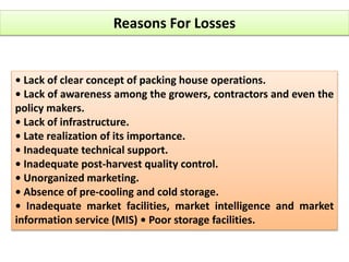 Reasons For Losses
• Lack of clear concept of packing house operations.
• Lack of awareness among the growers, contractors and even the
policy makers.
• Lack of infrastructure.
• Late realization of its importance.
• Inadequate technical support.
• Inadequate post-harvest quality control.
• Unorganized marketing.
• Absence of pre-cooling and cold storage.
• Inadequate market facilities, market intelligence and market
information service (MIS) • Poor storage facilities.
 