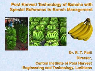 Dr. R. T. Patil
Director,
Central Institute of Post Harvest
Engineering and Technology, Ludhiana
Post Harvest Technology of Banana with
Special Reference to Bunch Management
 