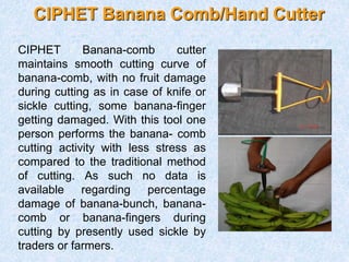 Post harvest technology of banana with special reference to bunch ...