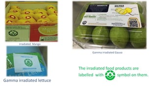 Gamma irradiated lettuce
The irradiated food products are
labelled with symbol on them.
Gamma irradiated Gauva
irradiated Mango
 
