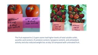 The fruit exposed to 2.5 ppm ozone had higher levels of total soluble solids,
ascorbic acid content, β-carotene content, lycopene content, and antioxidant
activity and also reduced weight loss at day 10 compared with untreated fruit.
 