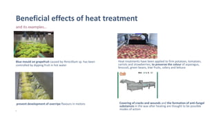 Beneficial effects of heat treatment
and its examples…
Blue mould on grapefruit caused by Penicillium sp. has been
controlled by dipping fruit in hot water
Heat treatments have been applied to firm potatoes, tomatoes,
carrots and strawberries; to preserve the colour of asparagus,
broccoli, green beans, kiwi fruits, celery and lettuce
prevent development of overripe flavours in melons Covering of cracks and wounds and the formation of anti-fungal
substances in the wax after heating are thought to be possible
modes of action9
 