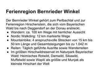 Ferienregion Bernrieder Winkel
Der Bernrieder Winkel gehört zum Perlbachtal und zur
Ferienregion Hirschenstein, die sich vom Bayerischen
Wald bis nach Deggendorf an der Donau erstreckt.
● Wandern: ca. 100 km Wege mit herrlicher Aussicht
● Nordic Walkding: 12 km markierte Wege
● Mountainbike: 4 anspruchsvolle Strecken von 15 km bis
50 km Länge und Gesamtsteigungen bis zu 1.042 m
● Reiten: Täglich geführte Ausritte sowie Wanderreiten
● Im größten Hirschwildreservat im Naturpark Bayerischer
Wald: Heimisches Rotwild, Damwild, Sikawild,
Muffelwild sowie Wapiti als größte und Munjak als
kleinste Hirschart der Welt
 