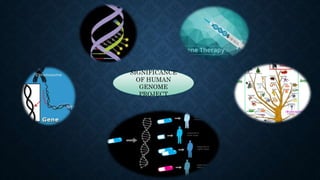 SIGNIFICANCE
OF HUMAN
GENOME
PROJECT
 