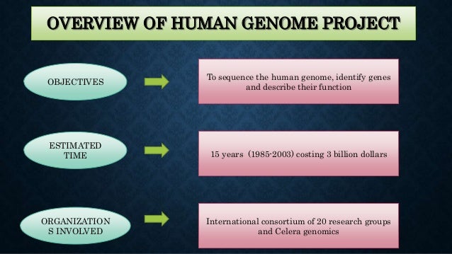 Post Human Genome Project