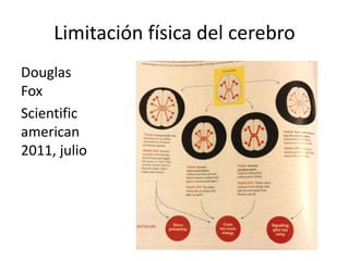 Limitación física del cerebro
Douglas
Fox
Scientific
american
2011, julio
 