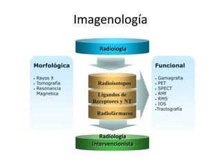 Imagenología
Radioisotopos
Ligandos de
Receptores y NT
Radiofármacos
Morfológica
• Rayos X
• Tomografía
• Resonancia
Magnetica
Funcional
• Gamagrafia
• PET
• SPECT
• RMf
• RMS
• IOS
•Tractografía
Radiología
Radiología
Intervencionista
 