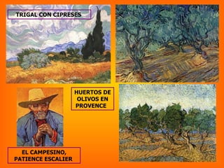 TRIGAL CON CIPRESES  HUERTOS DE OLIVOS EN PROVENCE  EL CAMPESINO, PATIENCE ESCALIER  
