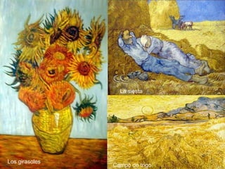 La siesta
Los girasoles
Campo de trigo
 